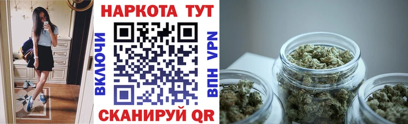  COCAIN Мглин