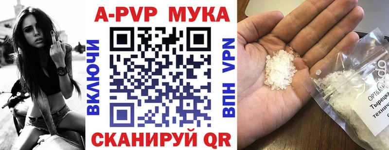 Альфа ПВП СК КРИС  Мглин 