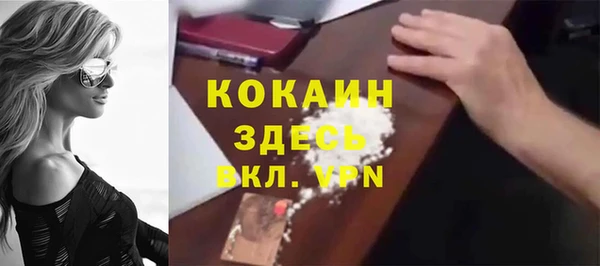 индика Лабытнанги