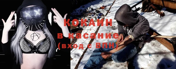 прущие грибы Пересвет